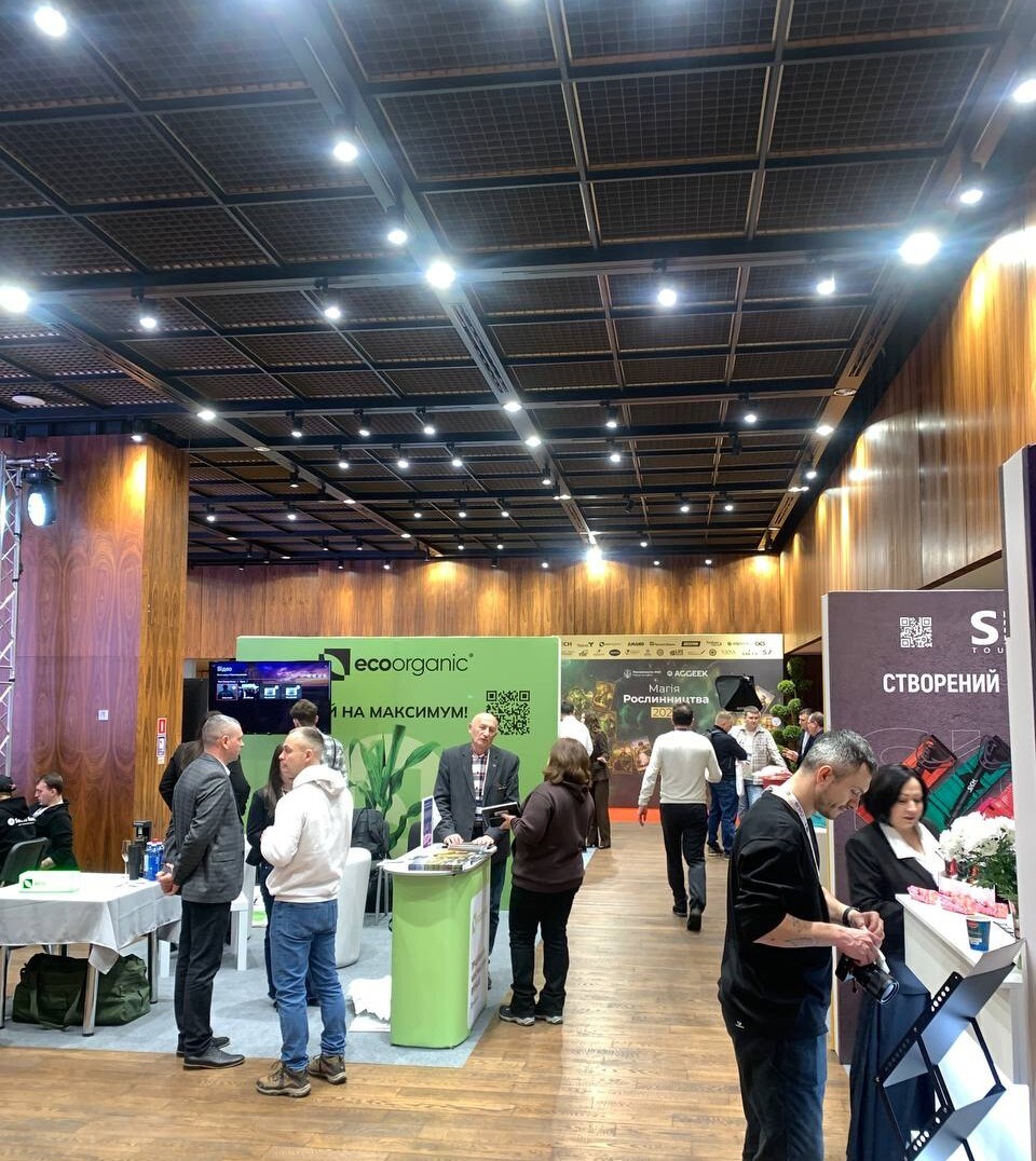 5467485375333862921-1