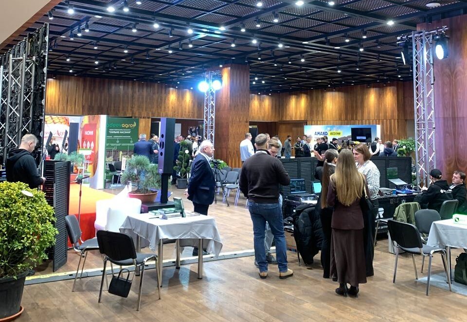 5467485375333862922-1